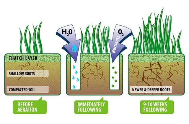 What does store aeration do